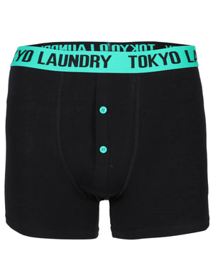 Charmouth ( 2 Pack) Contrast Waistband Boxer Shorts Set in Green / Dewberry - Tokyo Laundry