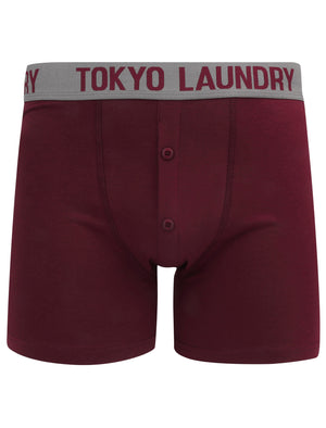 Colchester (2 Pack) Boxer Shorts Set in Rioja / Slate - Tokyo Laundry