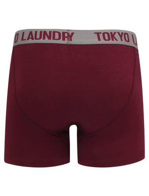 Colchester (2 Pack) Boxer Shorts Set in Rioja / Slate - Tokyo Laundry