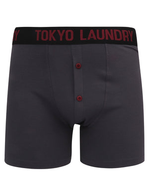 Colchester (2 Pack) Boxer Shorts Set in Rioja / Slate - Tokyo Laundry