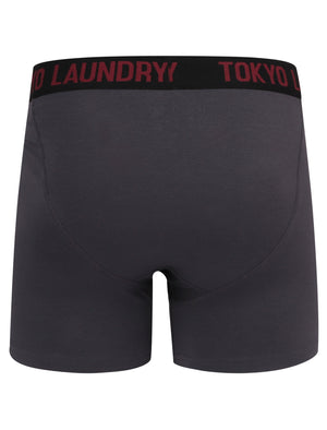 Colchester (2 Pack) Boxer Shorts Set in Rioja / Slate - Tokyo Laundry