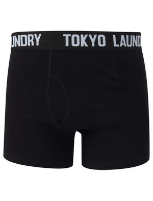 Colne 2 (2 Pack) Boxer Shorts Set in Kentucky Blue / Coral Cloud - Tokyo Laundry