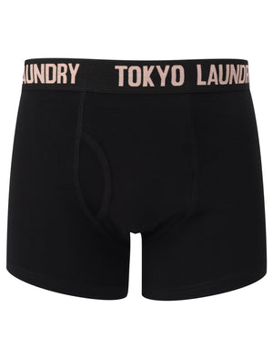 Colne 2 (2 Pack) Boxer Shorts Set in Kentucky Blue / Coral Cloud - Tokyo Laundry