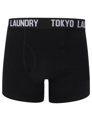 Colne 2 (2 Pack) Boxer Shorts Set in Lavender / Light Grey Marl - Tokyo Laundry