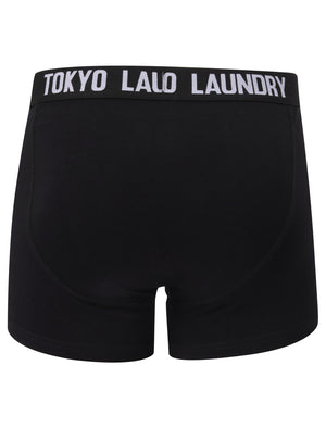 Colne 2 (2 Pack) Boxer Shorts Set in Lavender / Light Grey Marl - Tokyo Laundry