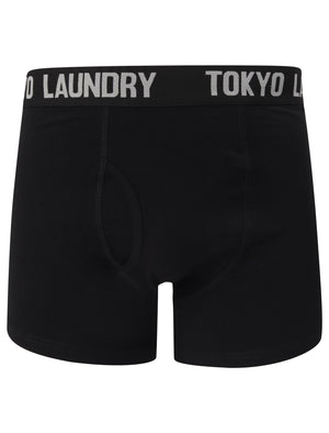 Colne 2 (2 Pack) Boxer Shorts Set in Lavender / Light Grey Marl - Tokyo Laundry