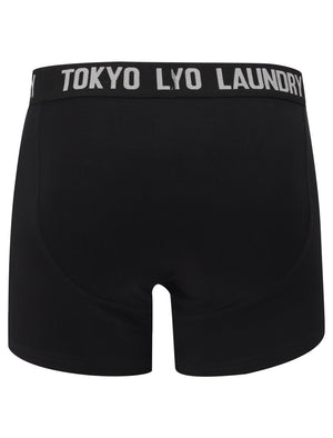 Colne 2 (2 Pack) Boxer Shorts Set in Lavender / Light Grey Marl - Tokyo Laundry