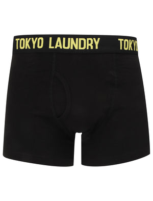 Colne (2 Pack) Boxer Shorts Set in Algiers Blue / Bright Yellow - Tokyo Laundry