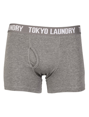 Tokyo Laundry Concord navy & grey boxers