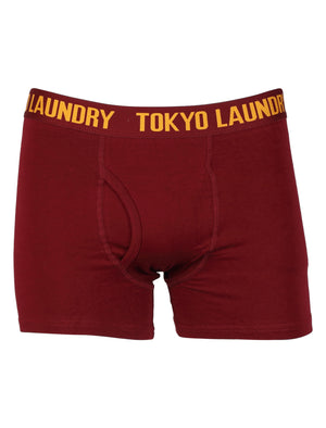 Concord Boxer Shorts Set in Oxblood / Grey Marl - Tokyo Laundry