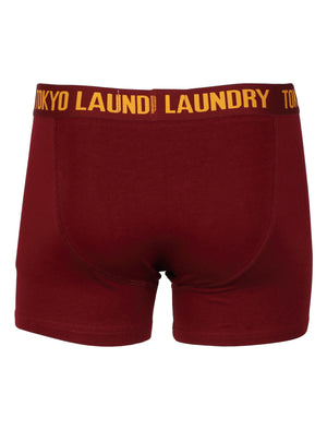 Concord Boxer Shorts Set in Oxblood / Grey Marl - Tokyo Laundry