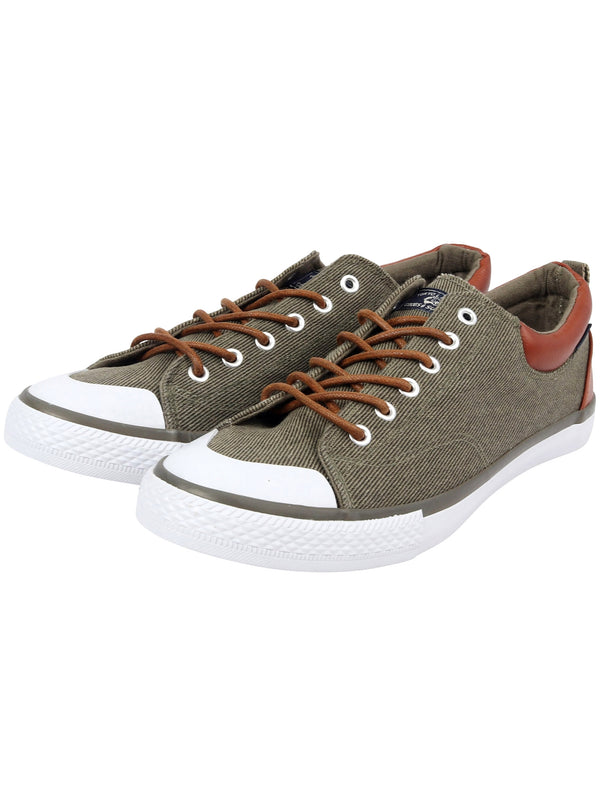 Conspiracy Low Top Lace Up Canvas Trainers in Martini Olive - Tokyo Laundry