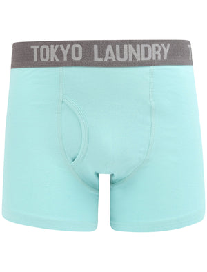 Constable 2 (2 Pack) Boxer Shorts Set In Aqua Haze / Mid Grey Marl - Tokyo Laundry