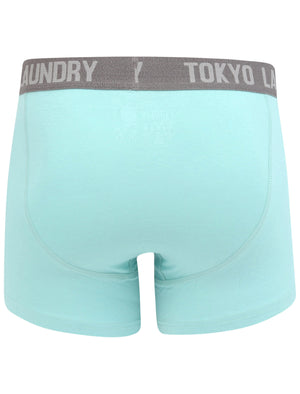 Constable 2 (2 Pack) Boxer Shorts Set In Aqua Haze / Mid Grey Marl - Tokyo Laundry