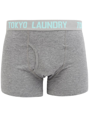 Constable 2 (2 Pack) Boxer Shorts Set In Aqua Haze / Mid Grey Marl - Tokyo Laundry
