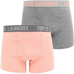 Constable 2 (2 Pack) Boxer Shorts Set In Coral Cloud / Mid Grey Marl - Tokyo Laundry
