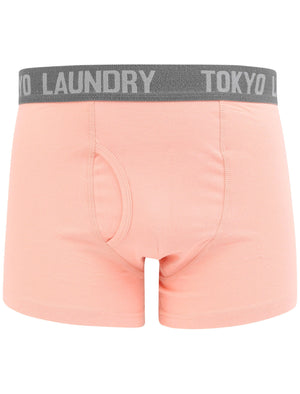 Constable 2 (2 Pack) Boxer Shorts Set In Coral Cloud / Mid Grey Marl - Tokyo Laundry
