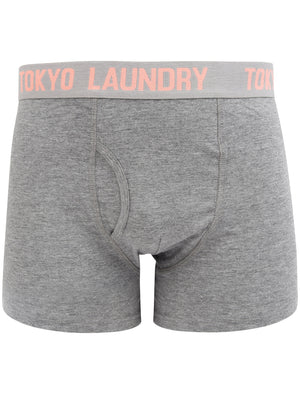 Constable 2 (2 Pack) Boxer Shorts Set In Coral Cloud / Mid Grey Marl - Tokyo Laundry