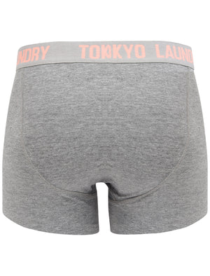 Constable 2 (2 Pack) Boxer Shorts Set In Coral Cloud / Mid Grey Marl - Tokyo Laundry