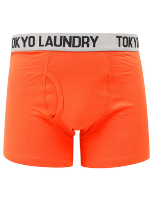 Constable (2 Pack) Boxer Shorts Set In Paprika / Light Grey Marl - Tokyo Laundry