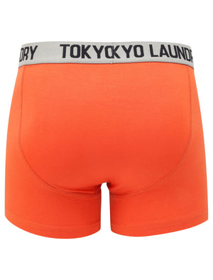 Constable (2 Pack) Boxer Shorts Set In Paprika / Light Grey Marl - Tokyo Laundry
