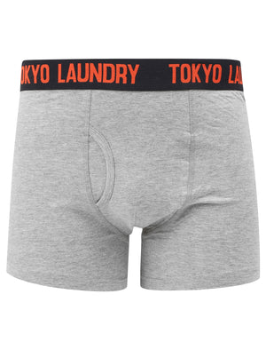 Constable (2 Pack) Boxer Shorts Set In Paprika / Light Grey Marl - Tokyo Laundry