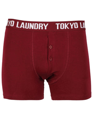 Dakota (2 Pack) Boxer Shorts Set in Mid Grey Marl / Oxblood  - Tokyo Laundry