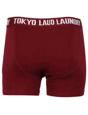 Dakota (2 Pack) Boxer Shorts Set in Mid Grey Marl / Oxblood  - Tokyo Laundry