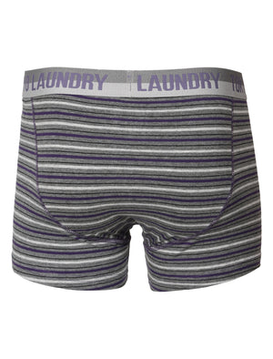 Darwin Boxer Shorts in Ashley Blue / Dark Grey Stripes - Tokyo Laundry