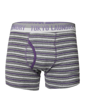 Darwin Boxer Shorts in Ashley Blue / Dark Grey Stripes - Tokyo Laundry