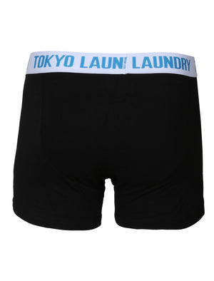 Darwin Boxer Shorts in Dark Navy / Light Grey Marl Stripes - Tokyo Laundry