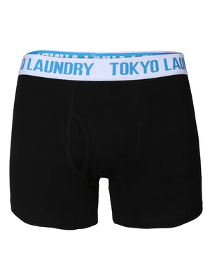 Darwin Boxer Shorts in Dark Navy / Light Grey Marl Stripes - Tokyo Laundry