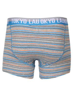 Darwin Boxer Shorts in Dark Navy / Light Grey Marl Stripes - Tokyo Laundry