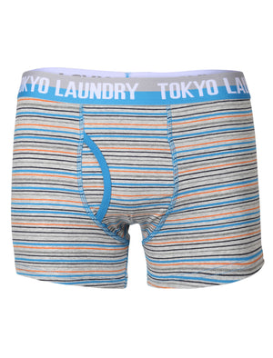Darwin Boxer Shorts in Dark Navy / Light Grey Marl Stripes - Tokyo Laundry