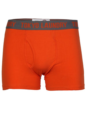 Tokyo Laundry Desoto Cove Sports Boxer Shorts (2 Pack)  Regatta Blue & Fire Orange