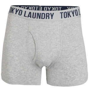 Dewport ( 2 Pack) Boxer Shorts Set in Light Grey Marl / Optic White - Tokyo Laundry
