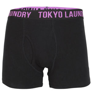 Dovehouse Neon Boxer Shorts Set in Simply Green / Dewberry - Tokyo Laundry