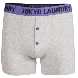 Dunbridge (2 Pack) Boxer Shorts Set in Purple / Green - Tokyo Laundry