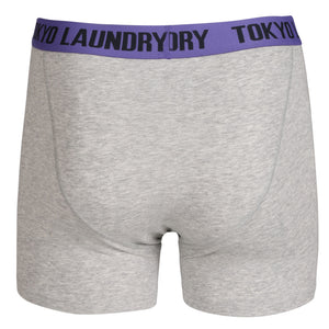 Dunbridge (2 Pack) Boxer Shorts Set in Purple / Green - Tokyo Laundry