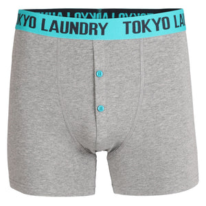 Dunbridge (2 Pack) Boxer Shorts Set in Purple / Green - Tokyo Laundry