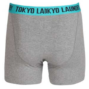 Dunbridge (2 Pack) Boxer Shorts Set in Purple / Green - Tokyo Laundry