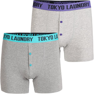 Dunbridge (2 Pack) Boxer Shorts Set in Purple / Green - Tokyo Laundry
