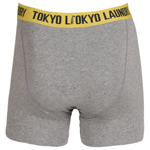 Dunbridge (2 Pack) Boxer Shorts Set in Ocean / Yellow - Tokyo Laundry
