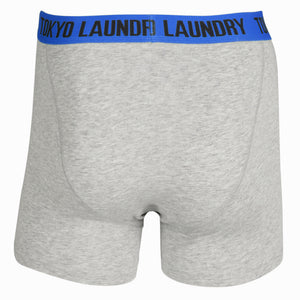 Dunbridge (2 Pack) Boxer Shorts Set in Ocean / Yellow - Tokyo Laundry