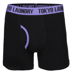 Dyott ( 2 Pack)  Boxer Shorts Set in Purple Opulence / Laundered Green - Tokyo Laundry