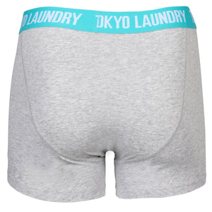 Dyott ( 2 Pack)  Boxer Shorts Set in Ocean / Virdian Green - Tokyo Laundry