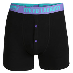 Eaglet (2 pack) Boxer Shorts Set in Purple / Virdian Green  - Tokyo Laundry