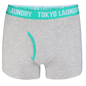 Earlham (2 Pack) Boxer Shorts Set in Russet Orange / Green - Tokyo Laundry