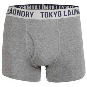 Earsby (2 Pack) Boxer Shorts Set in Navy / Mid Grey Marl - Tokyo Laundry