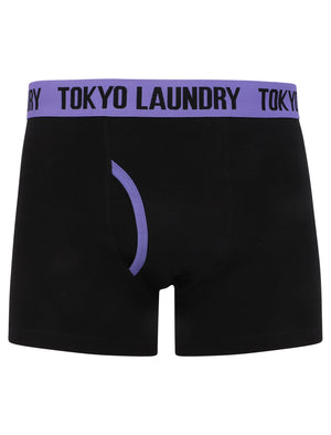 Eastford 2 (2 Pack) Boxer Shorts Set in Purple Opulence / Fusion Coral - Tokyo Laundry